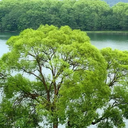 ホステル Gosciniec Skolimowka Restauracja I Ze Sniadaniem Na Kaszubach *