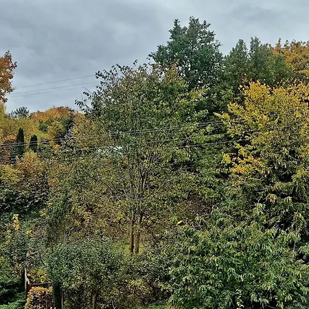 ホステル Gosciniec Skolimowka Restauracja I Ze Sniadaniem Na Kaszubach