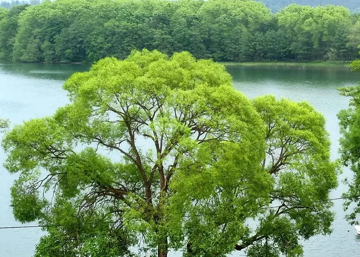 Hostel Gosciniec Skolimowka Restauracja I Ze Sniadaniem Na Kaszubach *
