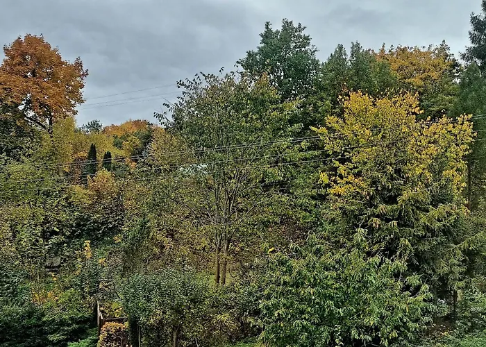 אכסניה Gosciniec Skolimowka Restauracja I Ze Sniadaniem Na Kaszubach